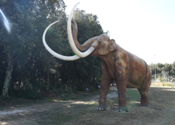 I dinosauri sono arrivati ad Amelia, inaugurata la mostra “World of dinosaurs”