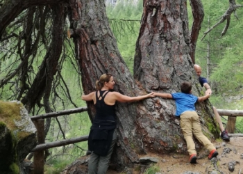 L’abbraccio degli alberi simultaneo più grande delle Alpi