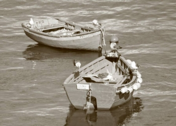 Il naufragar m’è dolce in questo mar