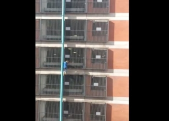 Scala un palazzo di 8 piani a mani nude: chi è la misteriosa Spider-Girl?