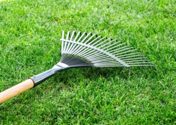 Come falciare un campo in 15 minuti. Il guiness dei primati è della Slovenia