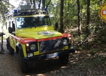 Quando la tecnologia salva vite, punto da calabroni dà l’allarme con un’applicazione