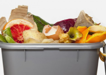 Rifiuti, dal 1° ottobre l’umido si raccoglie 2 volte alla settimana