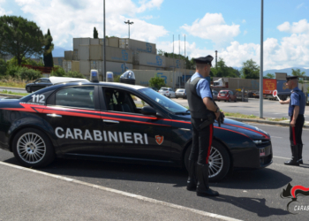 Perlustravano la zona in cerca di case da derubare, i carabinieri arrestano giovane rom