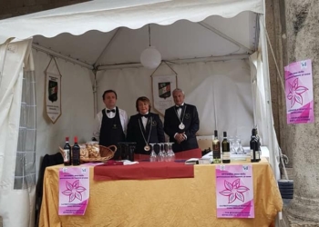 Fisar insieme a “Orvieto Contro il Cancro” in Piazza della Repubblica