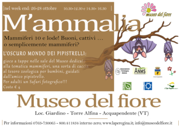 Al Museo Naturalistico del Fiore parte la 10A edizione di: M’ammalia, per conoscere i mammiferi al Monte Rufeno