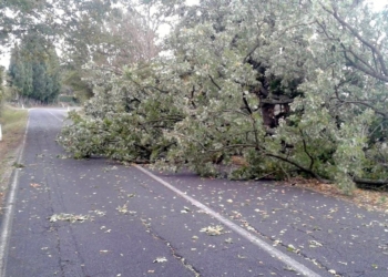 Maltempo, ad Alviano danni per oltre 200mila euro. Ciardo: “Emergenza mai vista da noi”