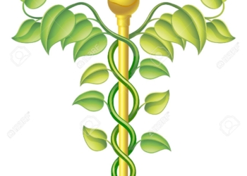 Focus su medicina naturale presso la farmacia comunale del centro storico di Narni