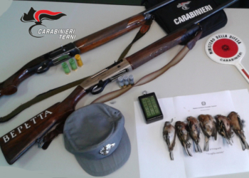 Abbattimento fauna protetta e richiami illeciti, la Forestale denuncia due persone