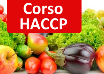 Cesvol Provincia di Terni: aperte le iscrizioni ai corsi Haccp