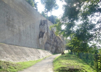 Consolidamento Rupe, interruzione tratto del Paao tra P.zza Marconi e Salto del Livio