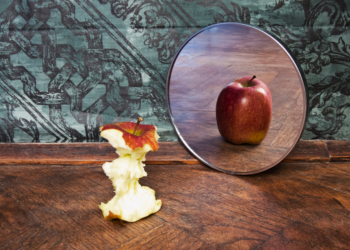 OPINIONI SOLITARIE DEL LUNEDI  12.11.2018 [465]