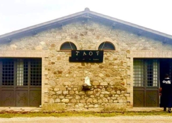 E’ nata “TOAF – The Art of Freedom”: la libertà di sentirsi liberi ognuno con la propria arte