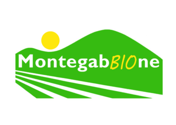 MontegabbioneBio è marchio di qualità