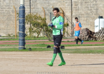 Tre nuovi cavalli di razza per la scuderia Vigor Acquapendente