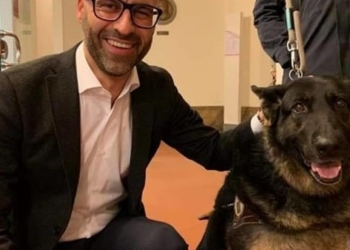 Veterinario gratis per chi adotta animali nei canili, la proposta diventa legge