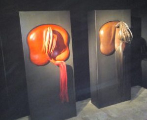 All’Hotel Reale hanno preso vita i cavalli di Stefano Conticelli