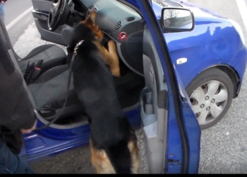 Spaccio, furti e degrado: le forze dell’Ordine intensificano i controlli. Identificate 64 persone e controllati 575 veicoli