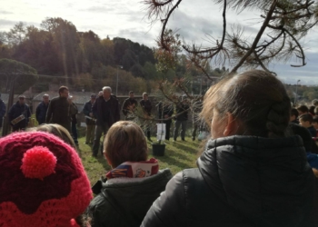 Festa dell’Albero ad Acquapendente in previsione delle prossime feste di Natale