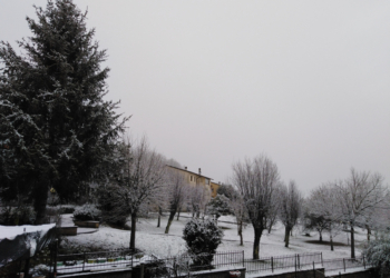 L’Orvietano si risveglia sotto la neve, primi fiocchi in tutta la Regione