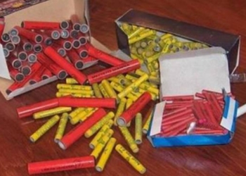 Limitare i botti a Capodanno, nel rispetto di persone e animali