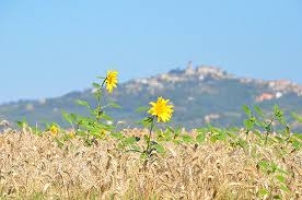 Vacanze a misura di famiglia con “Umbria family”, a Ficulle si presenta progetto sul turismo