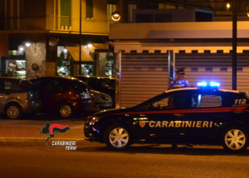 Controlli a tappeto dei carabinieri, recuperata refurtiva e denunciati 2 italiani e 3 georgiani