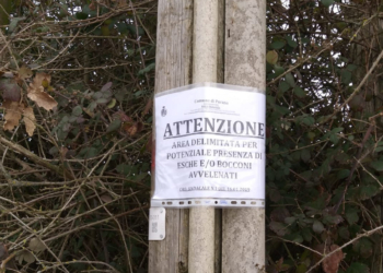 Bocconi avvelenati, il Comune di Porano invita alla cautela. Massima attenzione ai propri animali