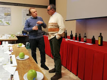 Assaggio guidato di oli d’oliva ad Acquapendente con Bruno Cirica