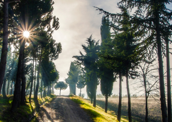 San Venanzo, riaperto percorso trekking del Filatello per collegamento Via Orvietana