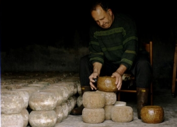 Scoppia il Sessantotto dei contadini. E c’è un ruolo anche per i consumatori