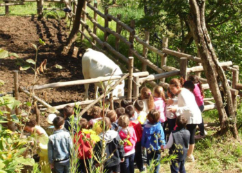 Operatore della fattoria didattica, nuova qualifica professionale al Csco. Aperte le iscrizioni