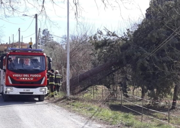 Raffiche di vento, il report della ProCiv: 18 richieste di intervento