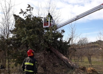 Raffiche di vento, il report della ProCiv: 18 richieste di intervento