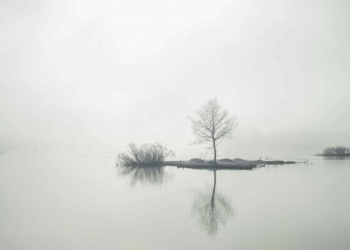 Alla scoperta dell’Oasi di Alviano, un incantesimo ancestrale per ri-scoprire la vita