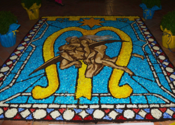 Verso Orvieto in Fiore 2019 con meraviglia per il creato tra fiori, api e balestrucci