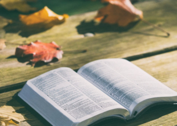 San Venanzo, al via la 5A  edizione concorso letterario Saverio Marinelli