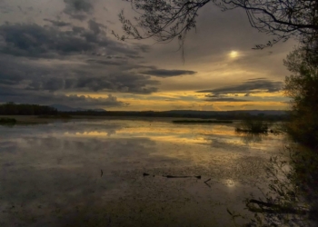 Alla scoperta dell’Oasi di Alviano, un incantesimo ancestrale per ri-scoprire la vita