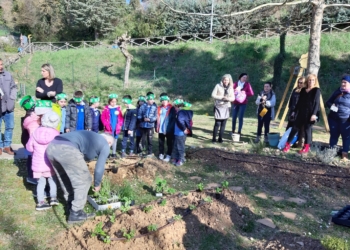 A Parrano grande successo per la “Festa degli alberi”