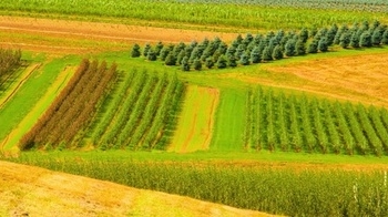 Focus su Nuova Agricoltura Sostenibile all’Unitus di Viterbo