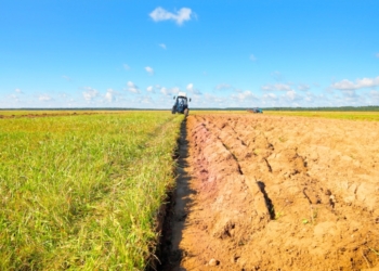 OPINIONI SOLITARIE DEL LUNEDI 18.03.2019 [483] – “Vorrei una politica contadina”