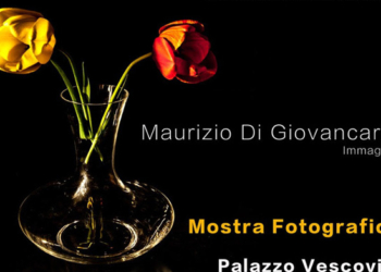 Al Museo civico di Acquapendente si apre la mostra “Visioni in ombra al Museo della Città”