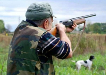 Piano Faunistico venatorio, Morroni (Fi): “Quali tempi per l’attuazione?”