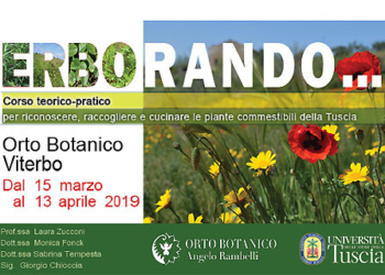 All’Orto botanico Angelo Rambelli torna Erborando, il consueto appuntamento con la primavera nel giardino più bello di Viterbo