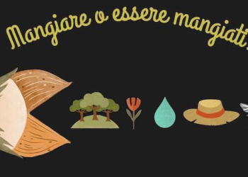 “I noccioli del problema. Gli impatti delle monocolture intensive tra Alfina, Orvietano e Tuscia”
