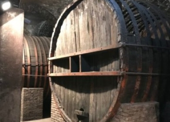Il più grande museo del vino d’Europa a pochi chilometri da Orvieto