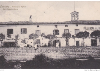 Il ramo orvietano dei Manassei