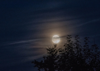 “L’attesa” di Giulia Barattolo vince il concorso poetico di Librosì Edizioni
