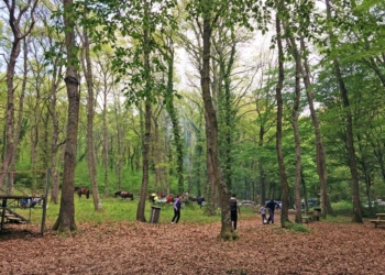 Nel Parco di Turona a Bolsena tornano giochi popolari, danze e canti tradizionali con “Le Merenne Borsenese”