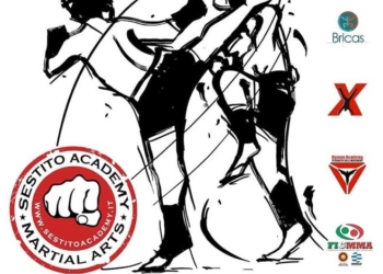 Alla Palestra Bricas arriva il primo Workshop di MMA